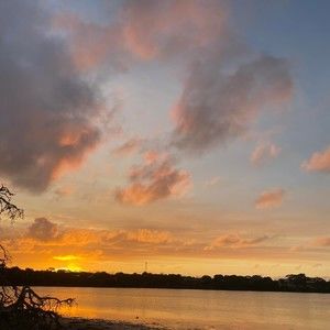 Meet your Posher, Tessa